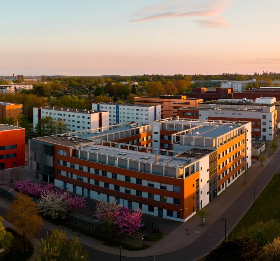 LIKAT_Luftaufnahmen__Copyright_LIKAT_