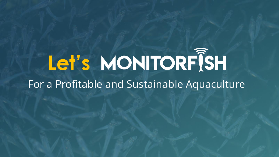 Start-Up in OceanTech, Dominik Ewald